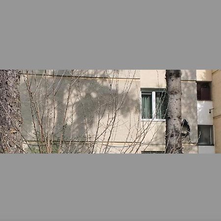 Târgu-Mureş Maria'S Apartments מראה חיצוני תמונה